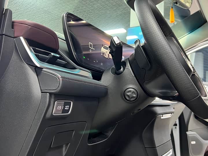 Фото 15 - Buick GL8 Century