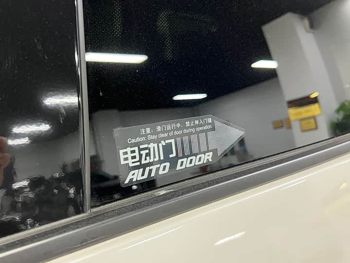 Фото 22 - Buick GL8 Century