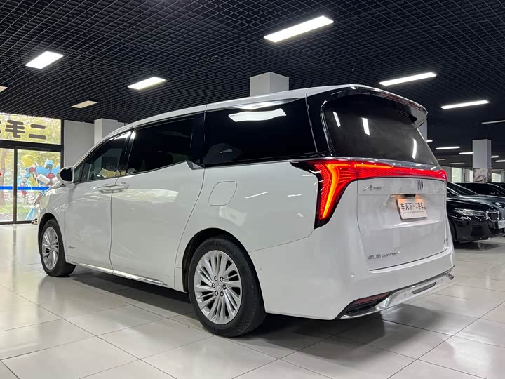 Фото 4 - Buick GL8 Century