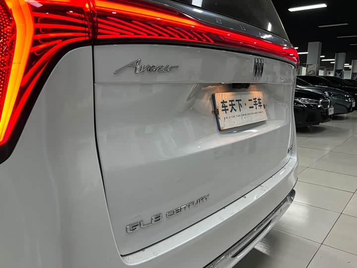 Фото 7 - Buick GL8 Century