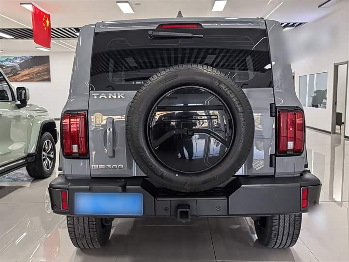 Фото 12 - Tank 300