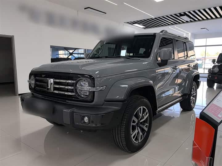 Фото 2 - Tank 300