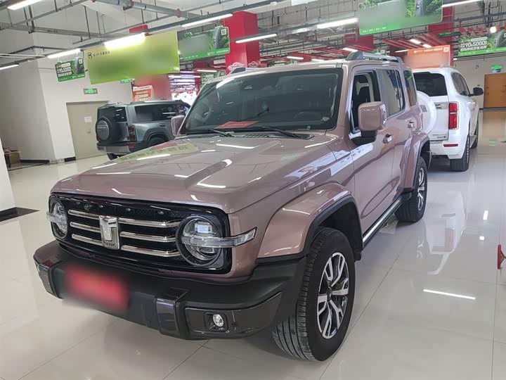 Фото 1 - Tank 300