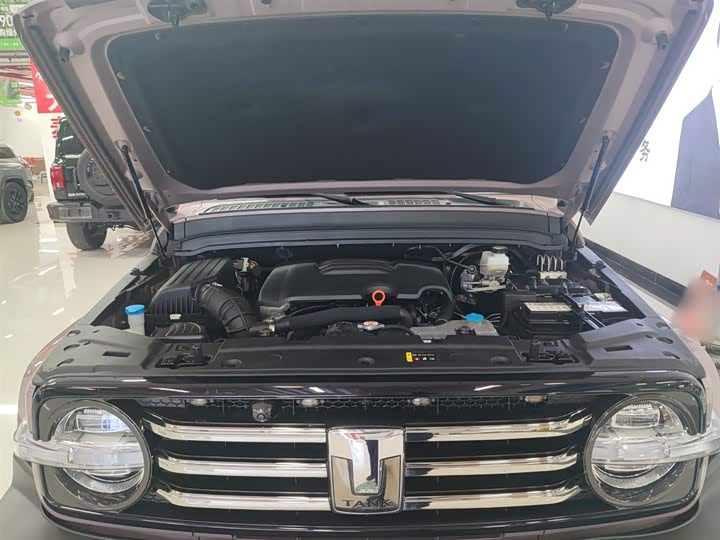 Фото 20 - Tank 300