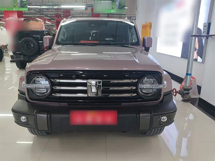 Фото 3 - Tank 300