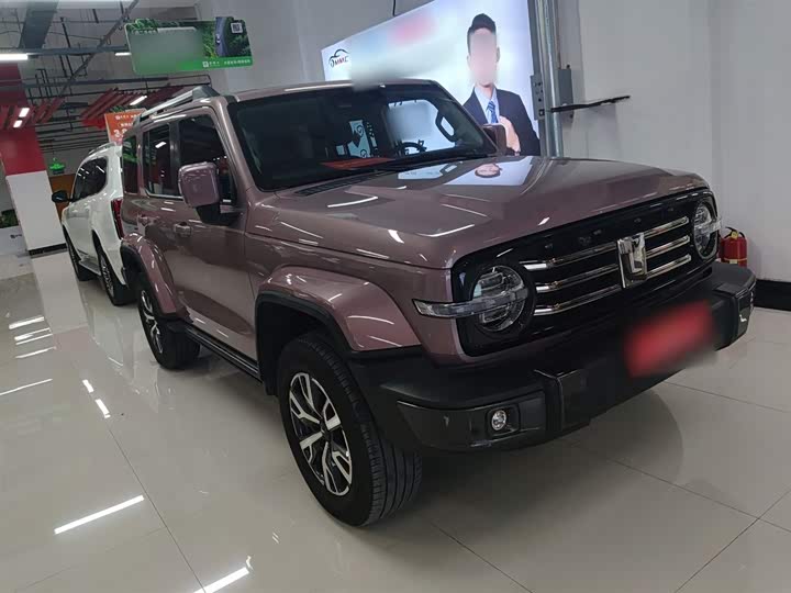 Фото 4 - Tank 300