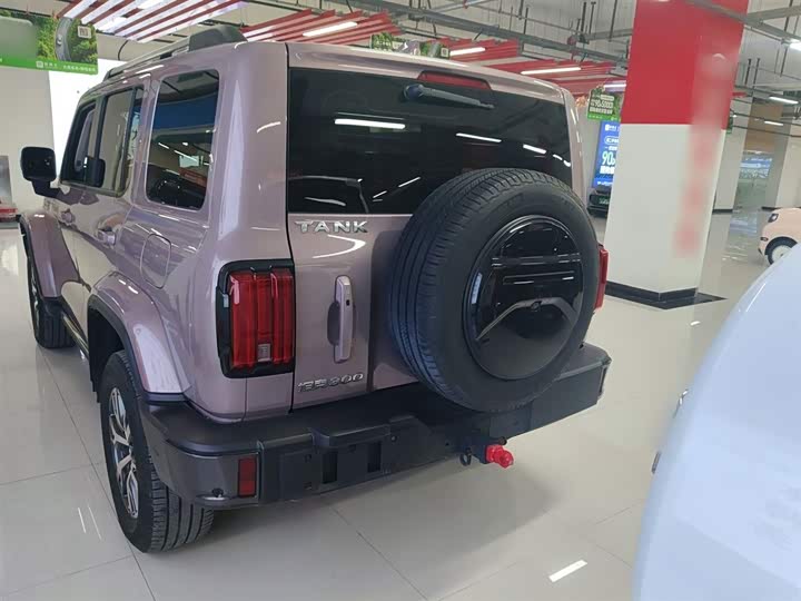 Фото 6 - Tank 300