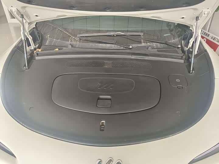 Фото 15 - IM motors LS6