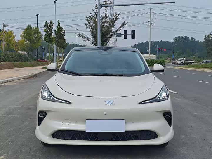 Фото 2 - IM motors LS6