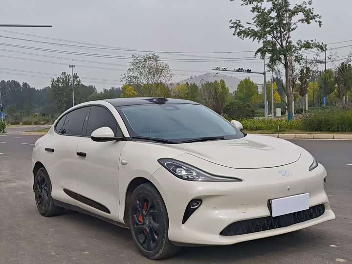 Фото 3 - IM motors LS6