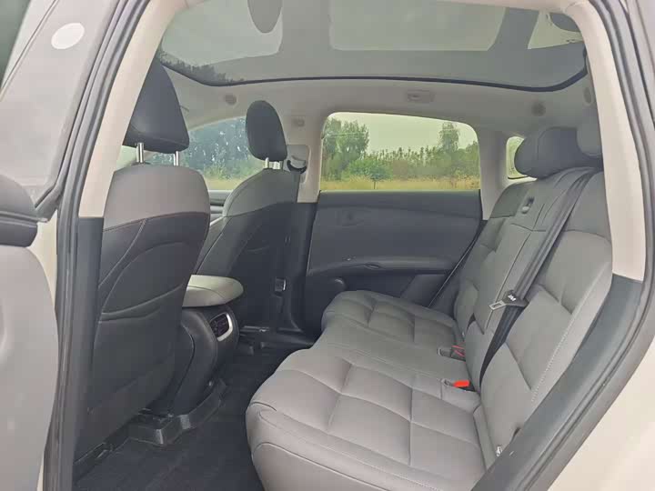 Фото 6 - IM motors LS6