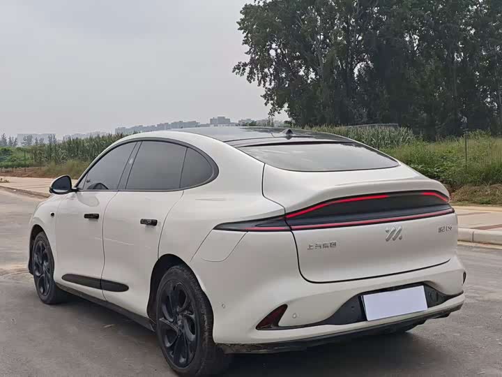 Фото 7 - IM motors LS6