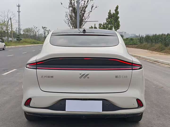 Фото 8 - IM motors LS6