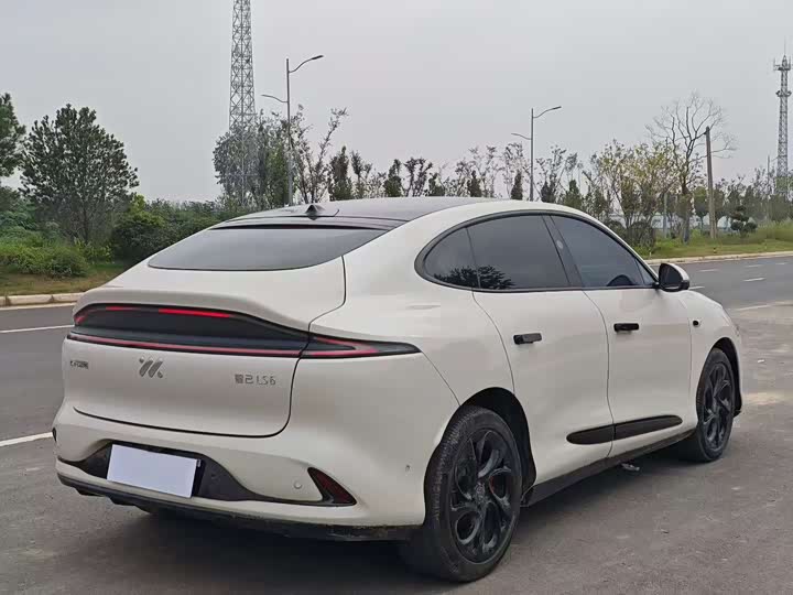 Фото 9 - IM motors LS6