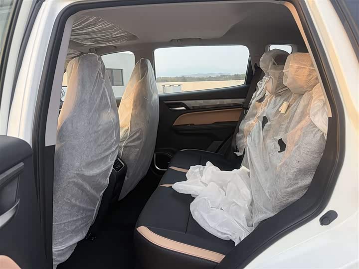 Фото 6 - Geely Okavango Pro