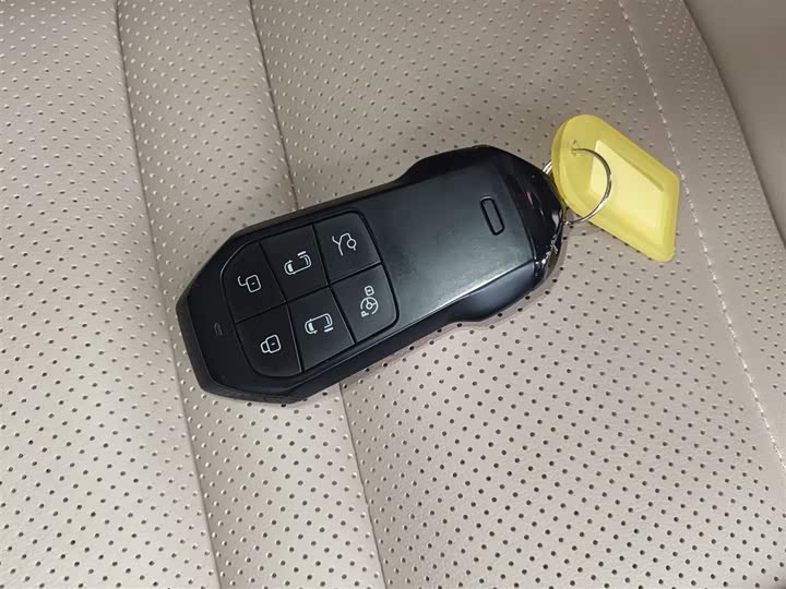 Фото 9 - XPeng X9