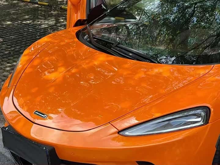 Photo 12 - McLaren GT