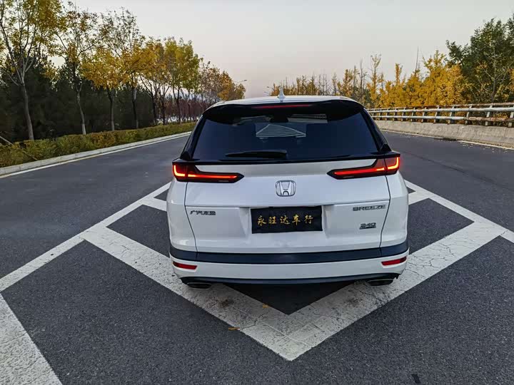 Фото 5 - Honda Breeze