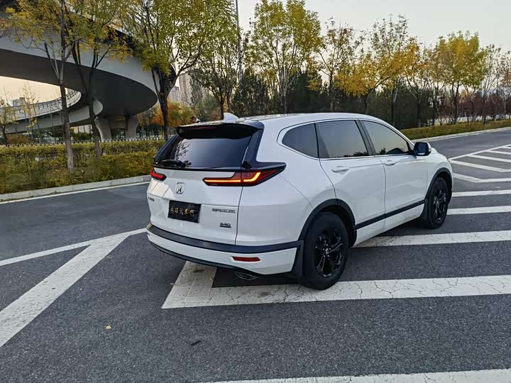 Фото 6 - Honda Breeze