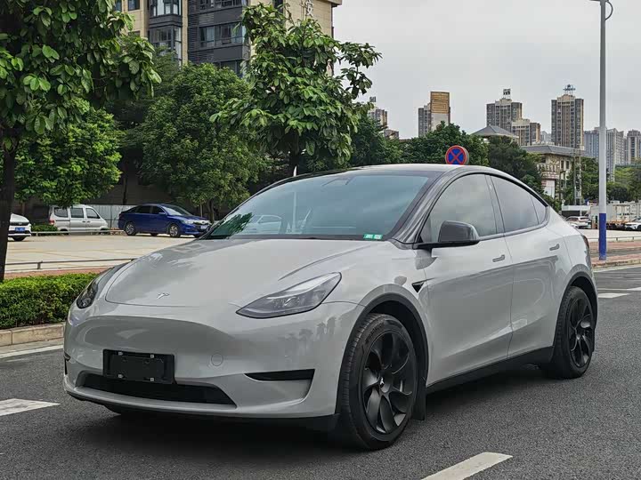 Фото 1 - Tesla Model Y