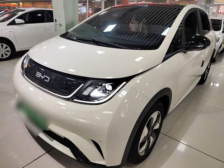 Фото 1 - BYD Dolphin