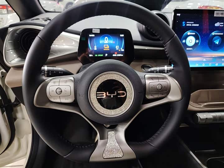 Фото 11 - BYD Dolphin