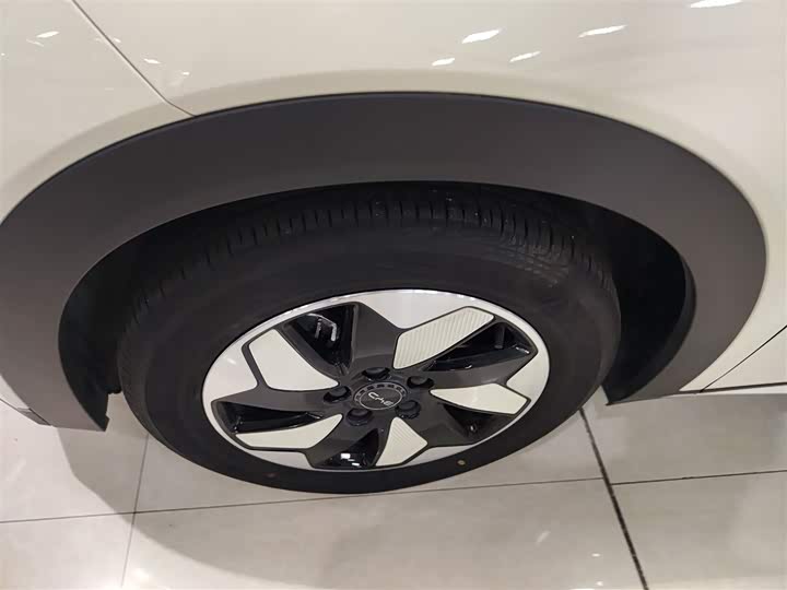 Фото 23 - BYD Dolphin