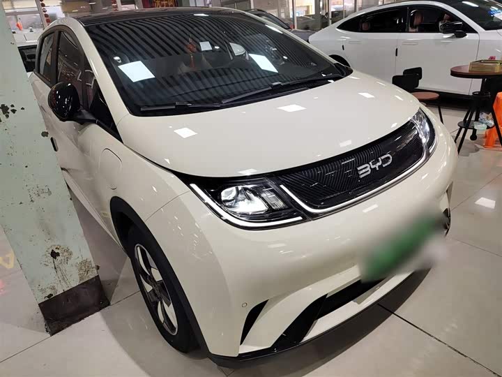 Фото 4 - BYD Dolphin