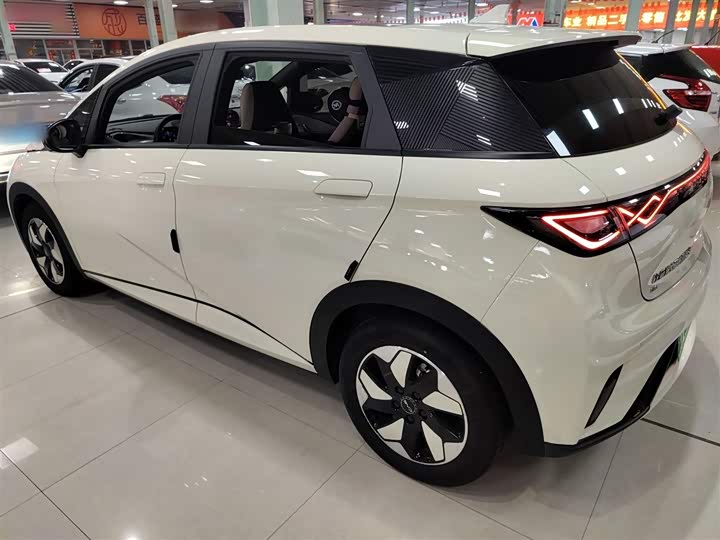 Фото 5 - BYD Dolphin