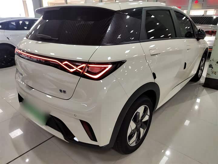 Фото 7 - BYD Dolphin