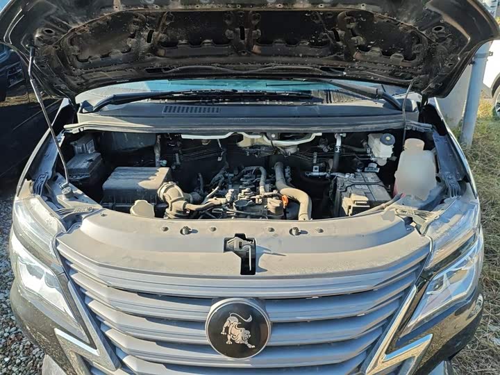 Фото 20 - Dongfeng Forthing Lingzhi M5