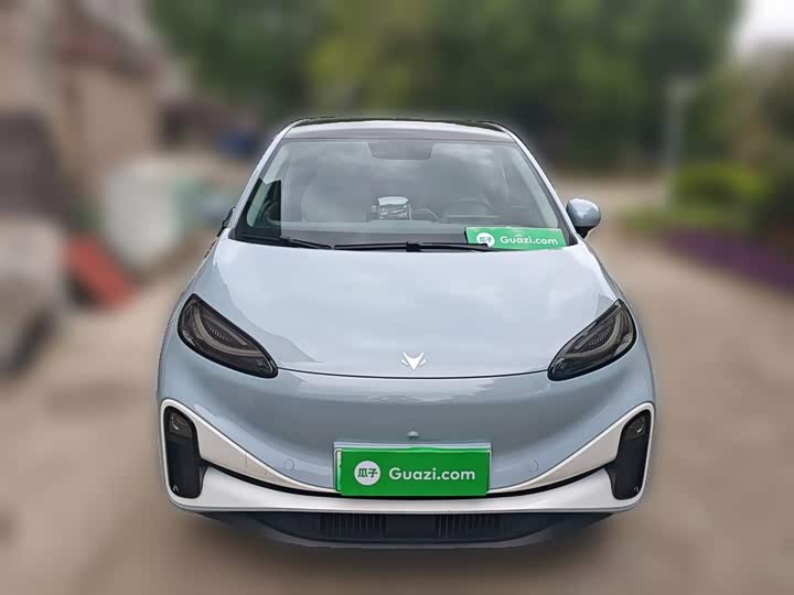 Фото 24 - BAIC Arcfox Kaola S