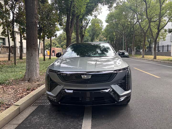 Фото 2 - Cadillac Optiq