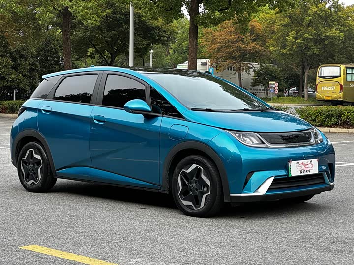 Фото 4 - BYD Dolphin