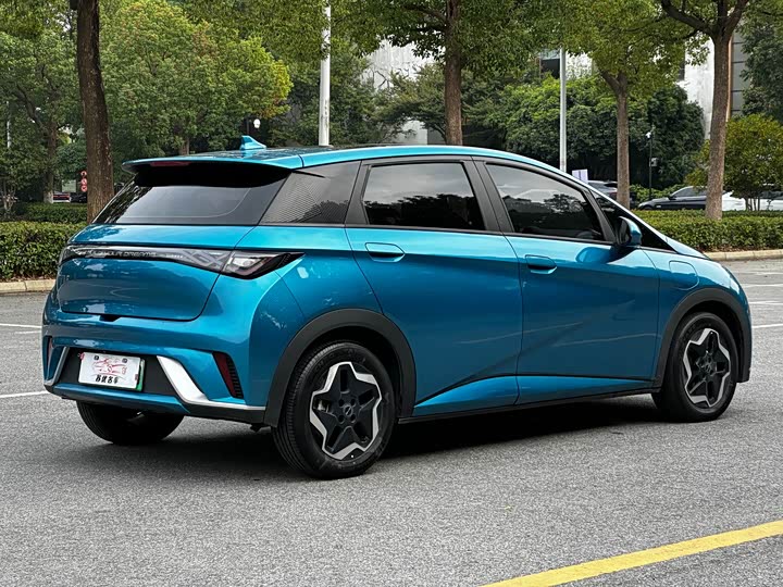 Фото 6 - BYD Dolphin