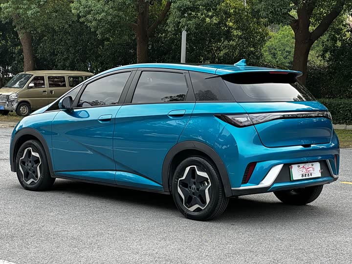 Фото 8 - BYD Dolphin