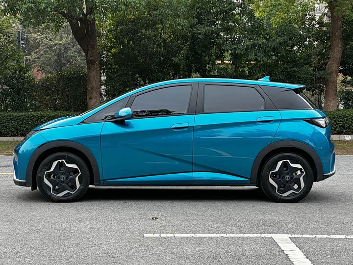 Фото 9 - BYD Dolphin