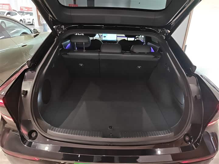 Фото 19 - XPeng F57