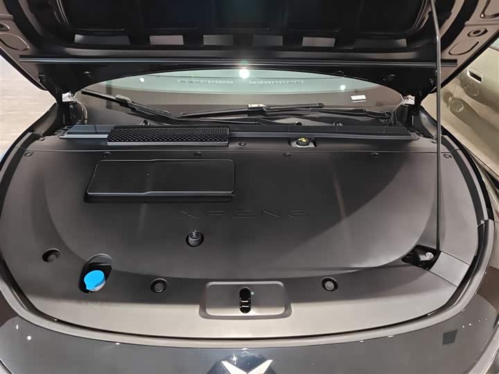 Фото 20 - XPeng F57