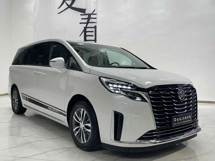 Фото 1 - Buick GL8 ES