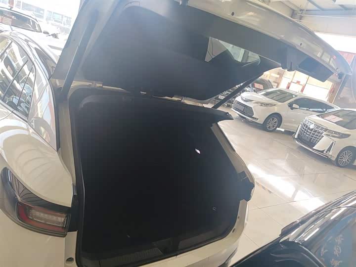 Фото 19 - Volkswagen ID.4 X