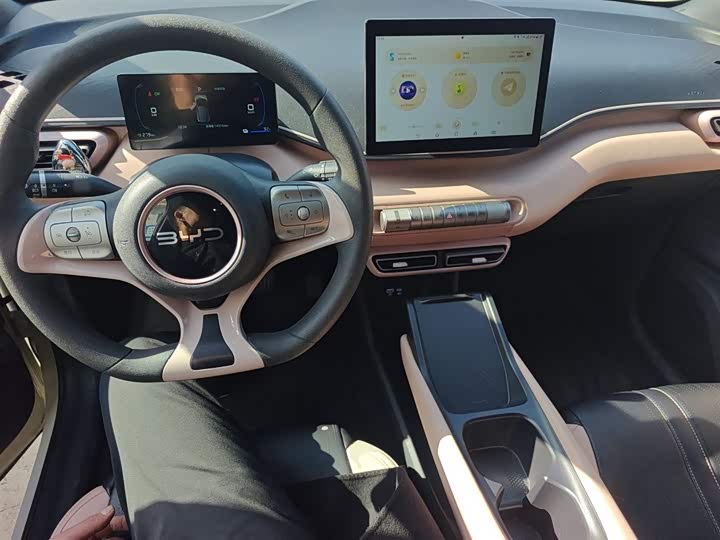 Фото 10 - BYD Seagull