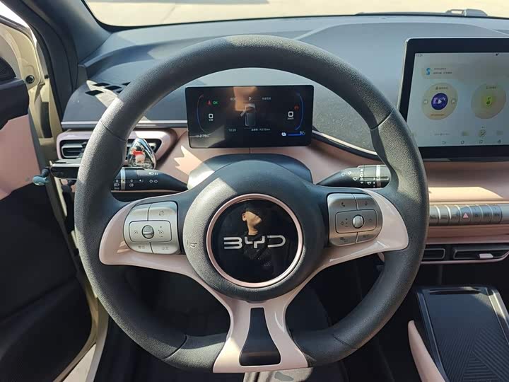 Фото 11 - BYD Seagull