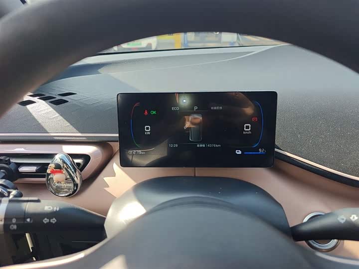 Фото 12 - BYD Seagull