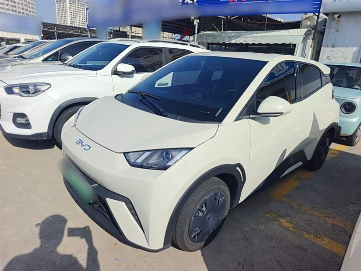 Фото 2 - BYD Seagull