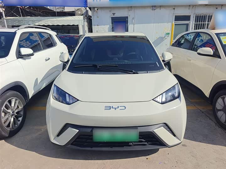 Фото 3 - BYD Seagull