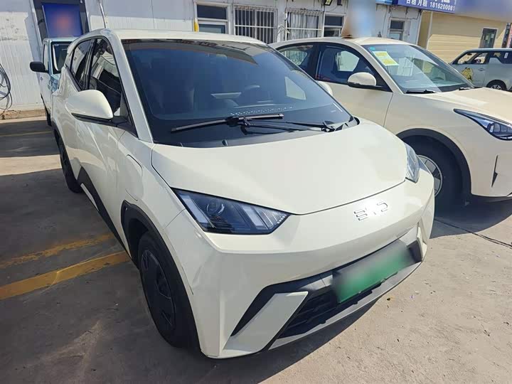 Фото 4 - BYD Seagull