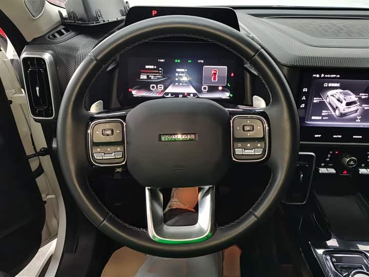 Фото 11 - Haval Dargo