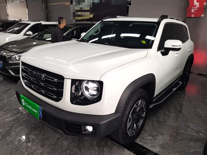 Фото 2 - Haval Dargo