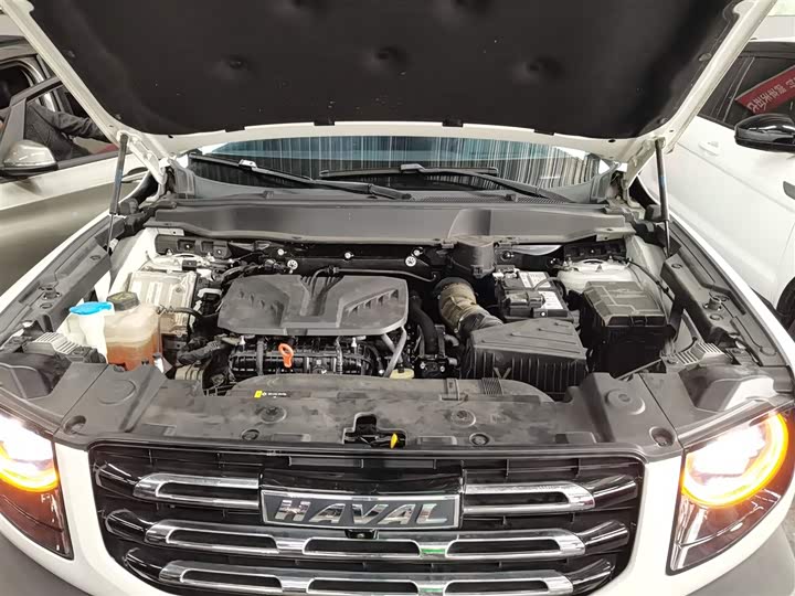 Фото 20 - Haval Dargo